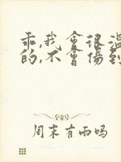 乖,我会很温柔的,不会伤到你小说