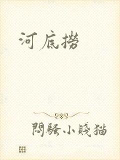 河底捞封面