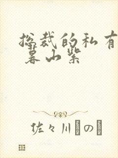 总裁的私有宝贝 暮山紫