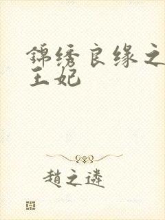 锦绣良缘之北地王妃