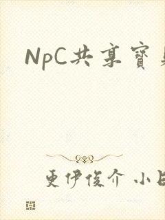 NpC共享宝贝