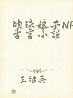 明珠娘子NPC古言小说