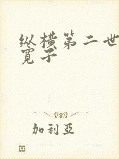 纵横第二世界 宽子