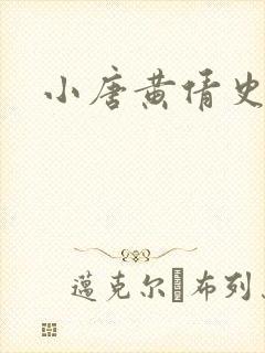 小唐黄倩史