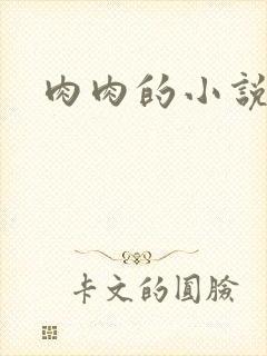肉肉的小说