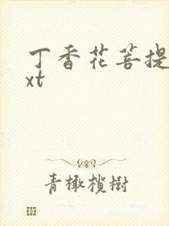 丁香花菩提树txt