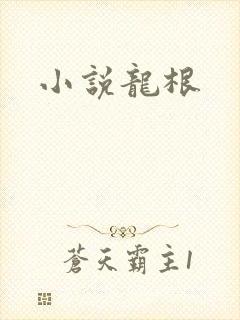 小说龙根