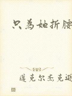 只为她折腰封面