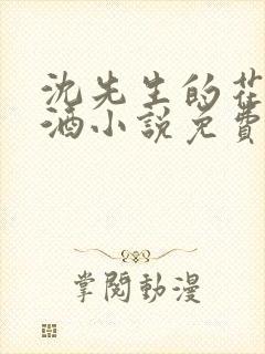 沈先生的花式调酒小说免费阅读封面