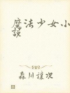 魔法少女小圆小说