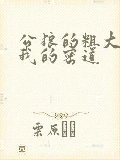 公狼的粗大挺进我的密道封面