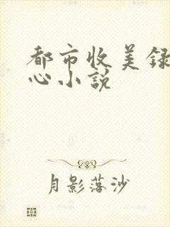都市收美录宁素心小说