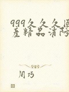 999久久久国产精品消防器材