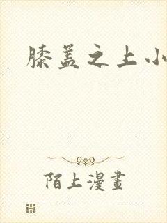 膝盖之上小说封面