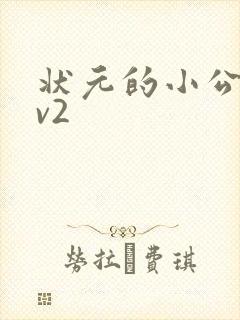 状元的小公主1v2封面