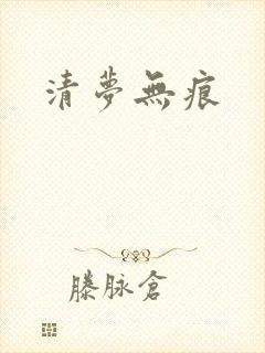 清梦无痕封面