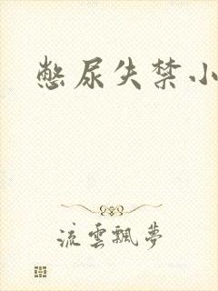 憋尿失禁小说封面