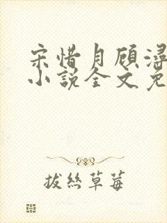 宋惜月顾浔渊的小说全文免费阅读