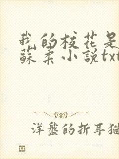 我的校花是福姬苏柔小说txt