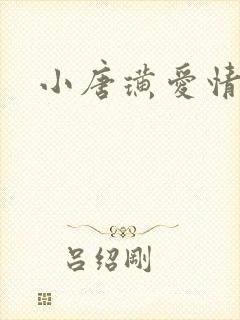 小唐璜爱情历史封面