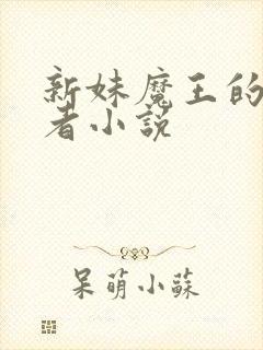 新妹魔王的契约者小说