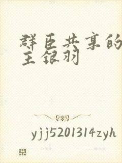 群臣共享的小公主银羽封面