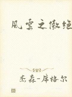 风云之傲绝封面