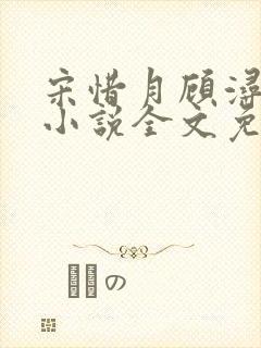 宋惜月顾浔渊的小说全文免费阅读封面