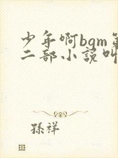 少年啊bgm第二部小说叫什么