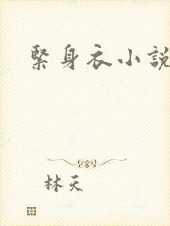 紧身衣小说