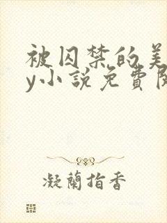 被囚禁的美人by小说免费阅读封面