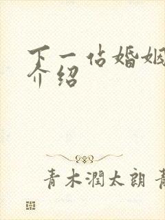 下一站婚姻剧情介绍