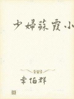 少妇苏霞小说封面