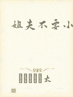 姐夫不要小说