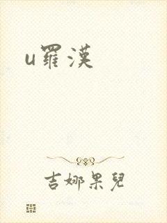 u罗汉封面