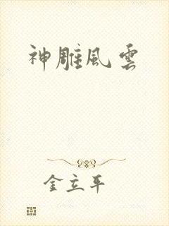 神雕风云