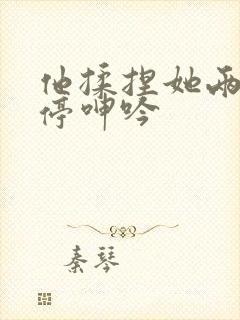 他揉捏她两乳不停呻吟封面