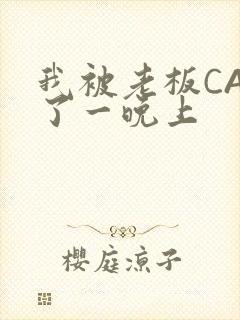 我被老板CAO了一晚上封面