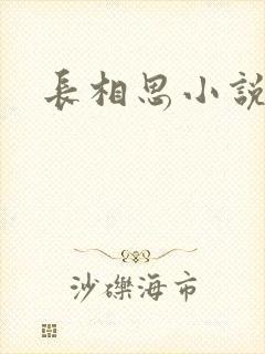 长相思小说原著封面