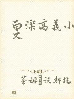 白洁高义小说全文封面