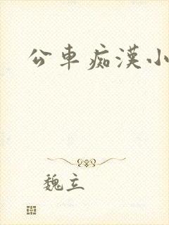 公车痴汉小说封面