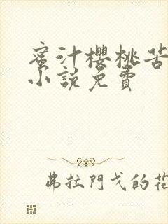 蜜汁樱桃苦咖啡小说免费