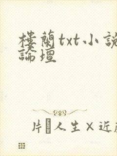 楼兰txt小说论坛封面