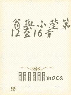 翁与小莹第十部12至16章