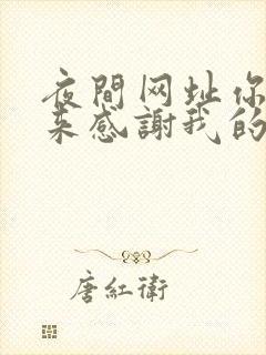 夜间网址你会回来感谢我的