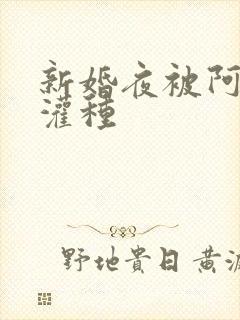 新婚夜被阿龟强灌种