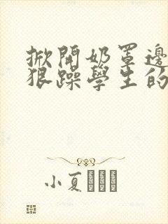 掀开奶罩边躁狠狠躁学生的小文字