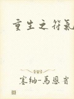 重生之符气冲天封面