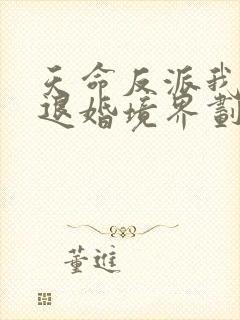 天命反派我拒绝退婚境界划分