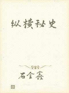纵横秘史封面